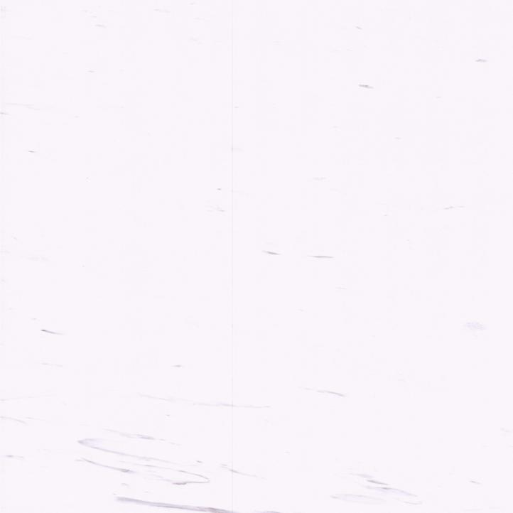 New Mine Arison White