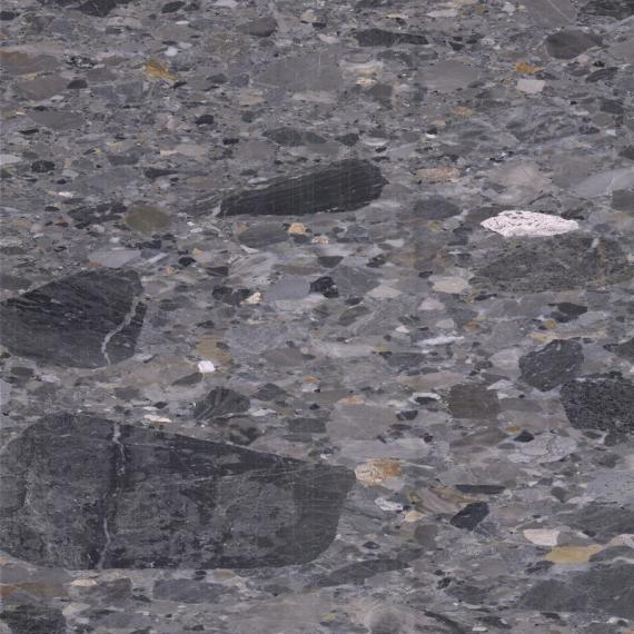 Luxury modern livingrooms halls corridor spa shower