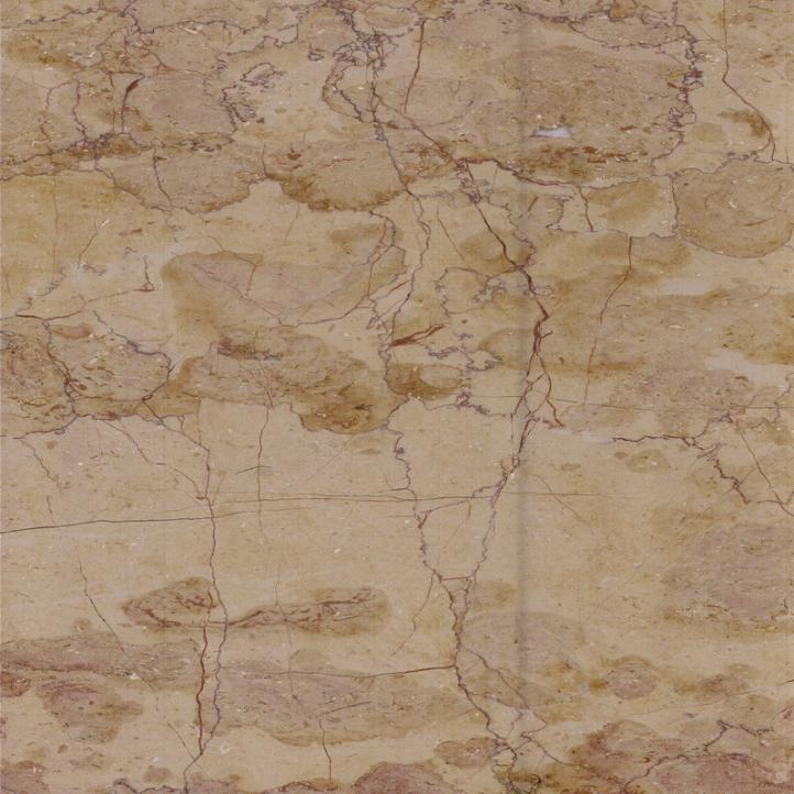 Best fossil top floor marble luxury wall