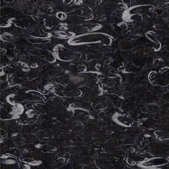 Exclusive fossiliferous marble for sophisticated buildings