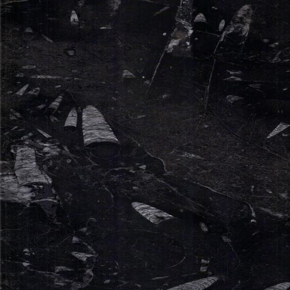 Best Brown marble slab construction material