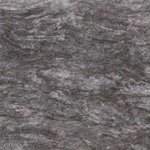 Scottish silver grey (2)